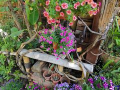 -火咂咂竹筒宴(告庄店)