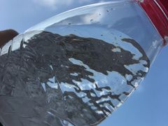 -延安杨家岭革命旧址