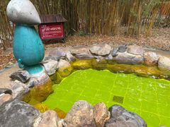 -森波拉火山温泉