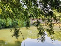 -中华贤母园-陶渊明纪念馆