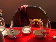 -碧丽宫大酒店(召稼楼店)