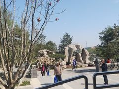 -西海子公园