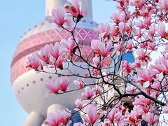 -东方明珠广播电视塔