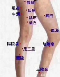 -香薇妮丝女子减肥院