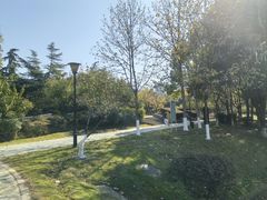 -月湖风景区