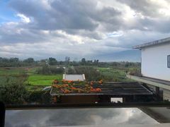 -翠田Green Field Kitchen