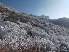 -秦岭风景区