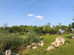 -马家湾湿地公园