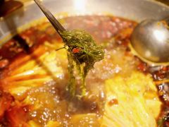 -受气牛肉·重庆耙牛肉(来福士店)