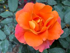 -人民公园(罗湖区)