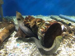 -秦皇岛新澳海底世界