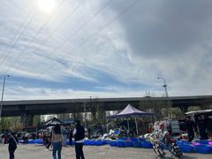 -中环花鸟鱼虫市场
