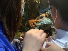 -侏罗纪世界电影特展(广州站)