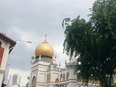 -新加坡Zam Zam餐馆