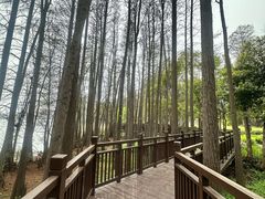-东湖落雁景区