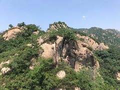 -大岭沟猕猴桃谷风景区