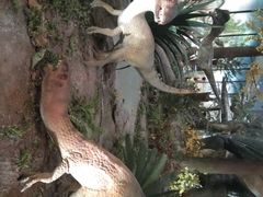 -湖南省地质博物馆