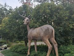 -溱湖国家湿地公园