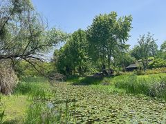 -西溪国家湿地公园