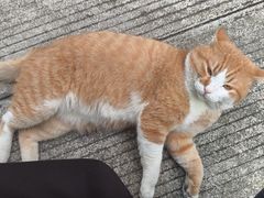 -临水阁农家乐饭店