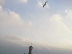 -福冈国际邮轮码头