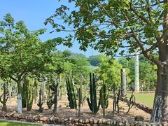 -东莞植物园