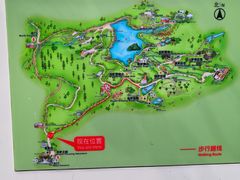 -深圳仙湖植物园