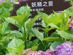 -临平公园(临平街道)