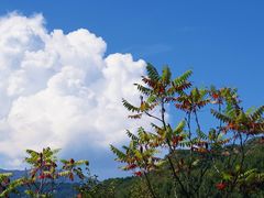 -玉渡山自然风景区