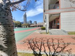 -金陵中学(河西分校)