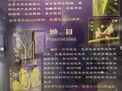 -上海昆虫博物馆