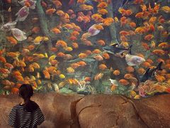 -杭州开元森泊度假乐园