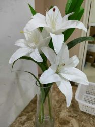 -济南艾玛妇产医院