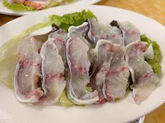 -金砂阿洲鱼册店