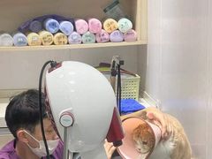 -宠颐生动物医院·小陆分院