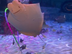 -沈阳海洋探索中心