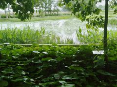 -中国天府农业博览园