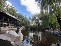 -向民炒鸡老店(金泰华府店)