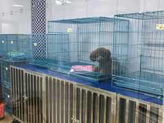 -宠爱有家宠物店(环镇北路店)