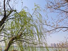 -云龙湖旅游景区