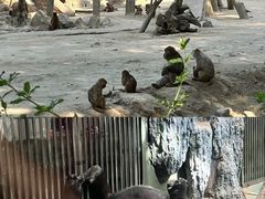 -郑州市动物园