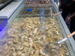 -圣罗巴海鲜自助(黑金店)