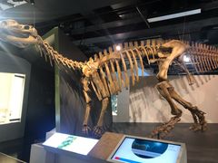 -墨尔本博物馆(Melbourne Museum)