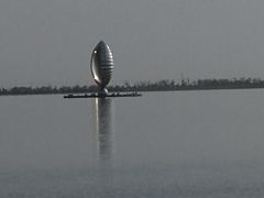 -南汇新城城市公园