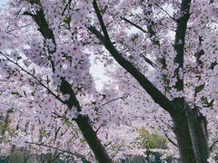 -新天地活力PARK