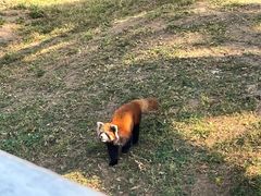 -石家庄市动物园