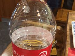 -东镇老火锅(高新区店)
