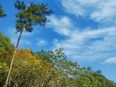 -平湖九龙山旅游度假区