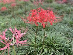 -白塘生态植物园