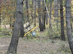 -帽儿山国家森林公园